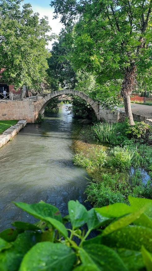 Aromas Del Jiloca, Tierra De Trufas Apartman Calamocha Kültér fotó