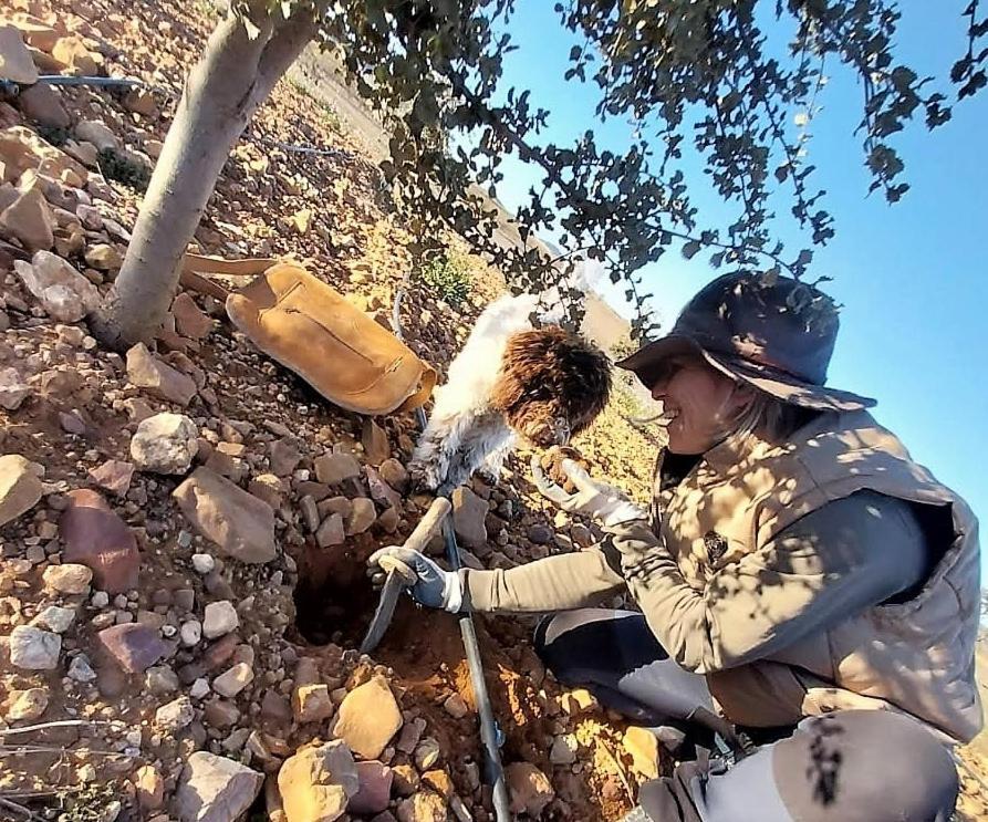 Aromas Del Jiloca, Tierra De Trufas Apartman Calamocha Kültér fotó